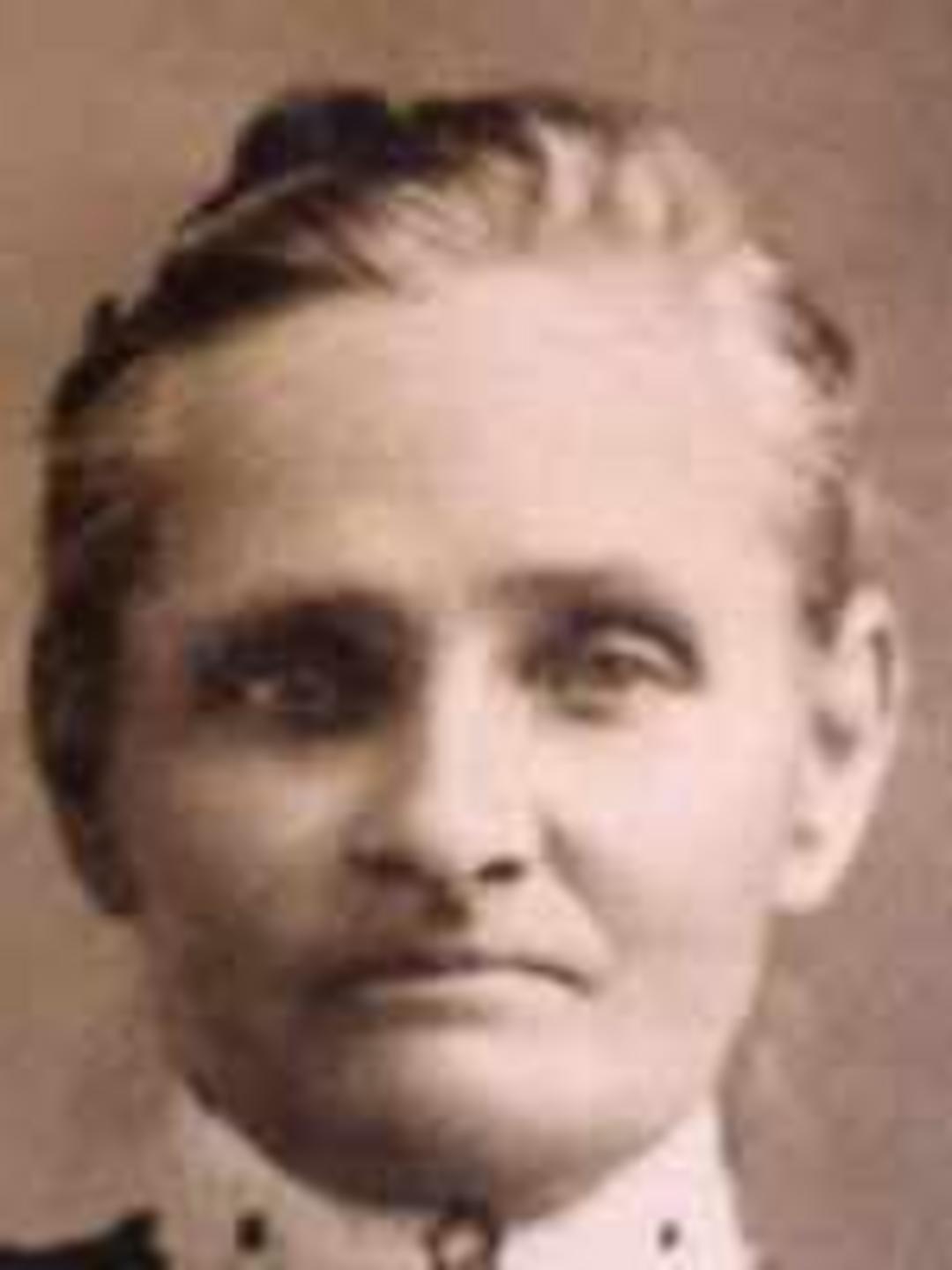 Emma Jane Williams (1850 - 1927) Profile